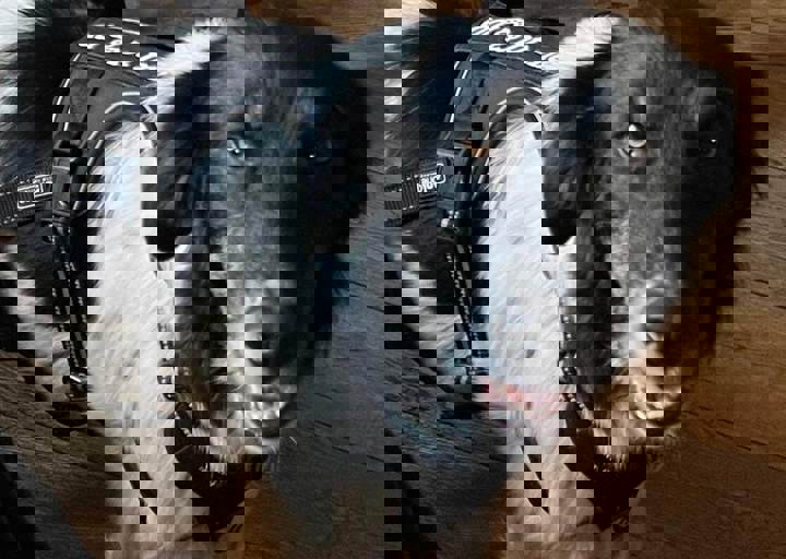 Aca Martys Party 2025 12