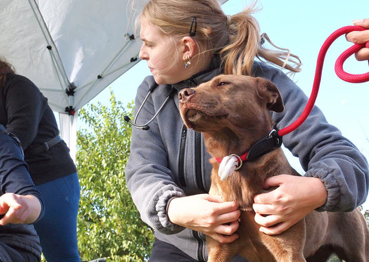 Kopie Von 25 10120142