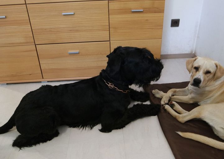 happy_150628203204 24_09_17.JPG