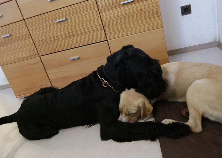 happy_150628203205 24_09_17.JPG