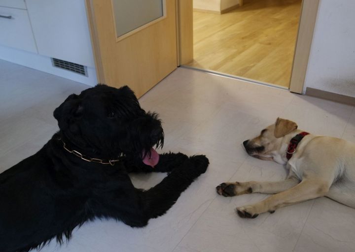 happy_150628203203 24_09_17.JPG