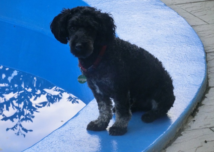 happy_1500576029Bild 1637.jpeg