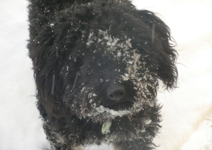 happy_1500576029Ausflug 1471.jpeg