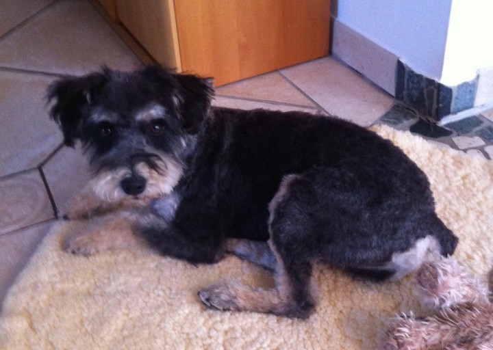 happy_1492628359Foto 1.JPG