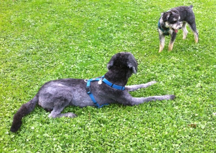 happy_1492628359Foto 2.JPG