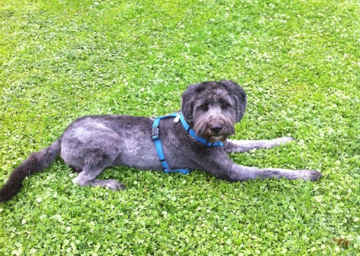 happy_1492628359Foto 3.JPG