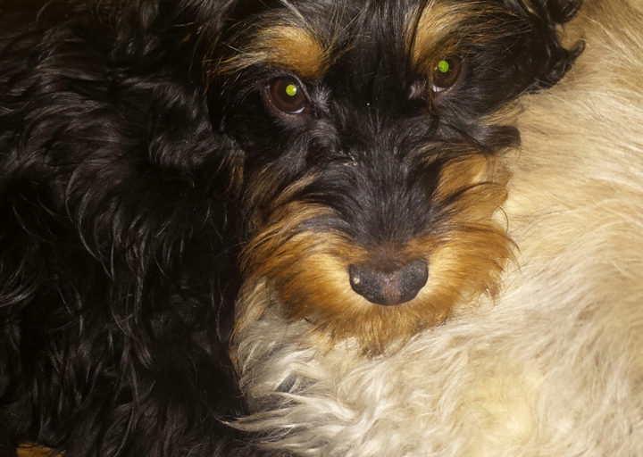 happy_14842540882017-01-05 18.33.44.png