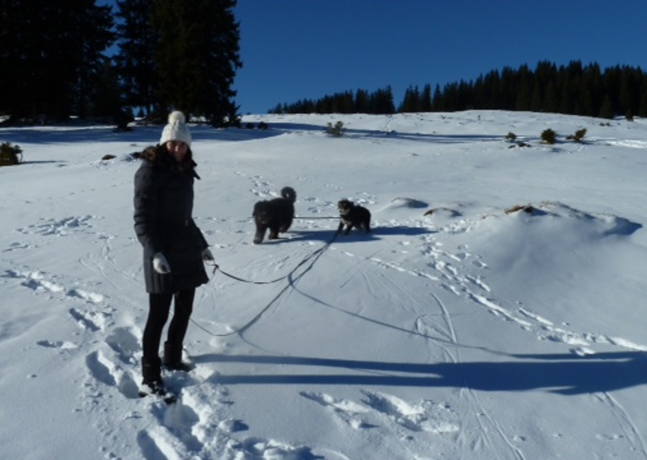 happy_1483184132Foto 1.JPG