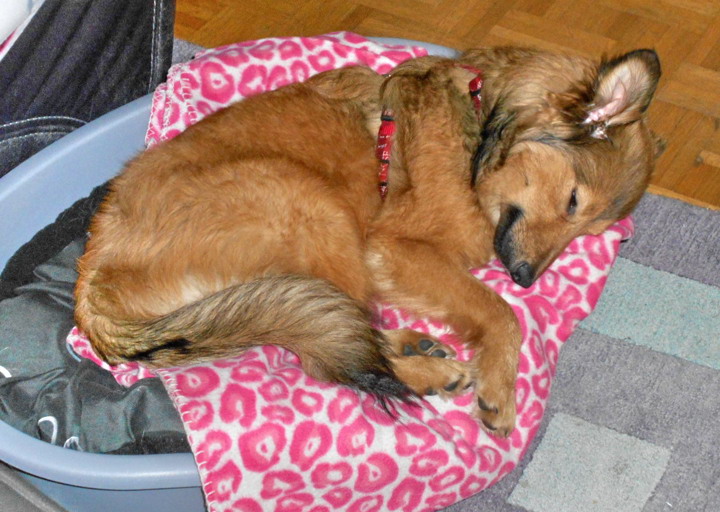 happy_1453057655Kenzo (4).jpg