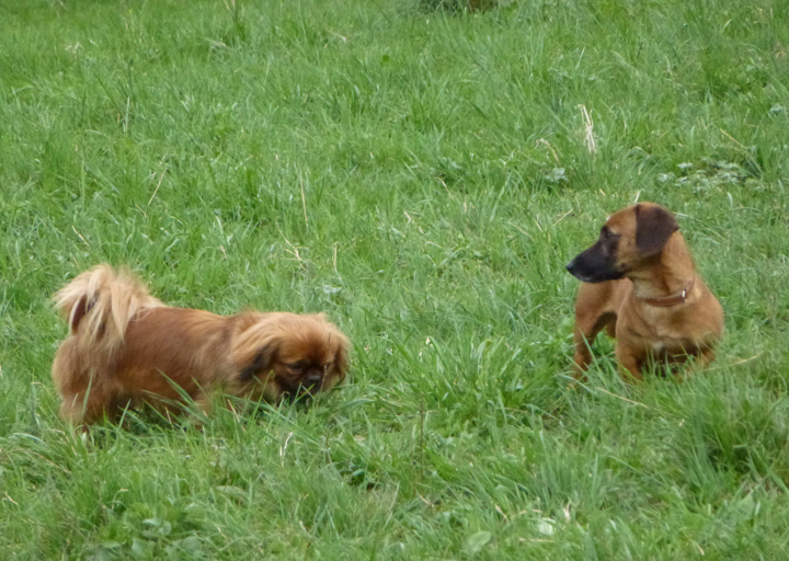 happy_14533202082015_Fotos Manuel-1.jpg