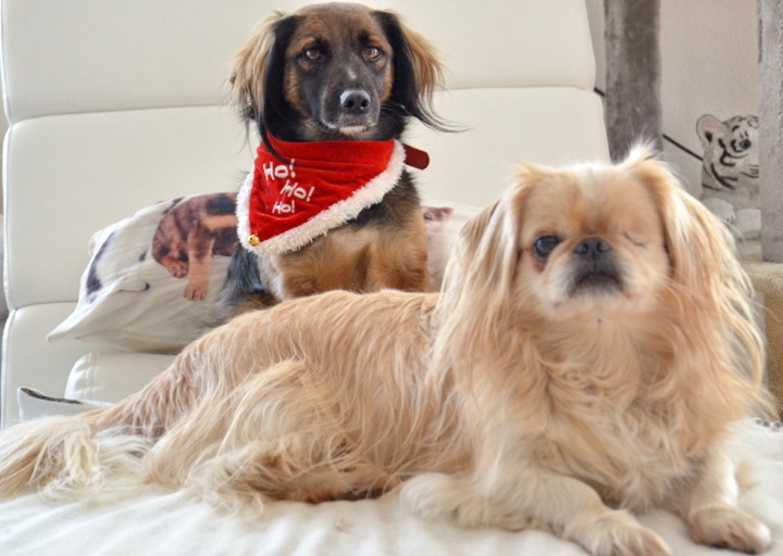 happy_1451156150Foto 2.jpg