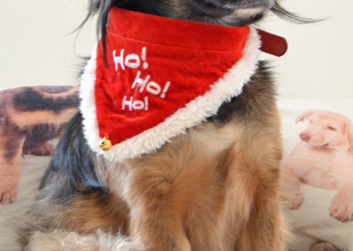 happy_1451156150Foto 3.jpg