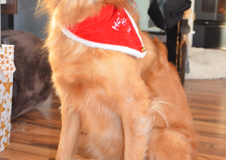 happy_1451156317Foto 4.JPG