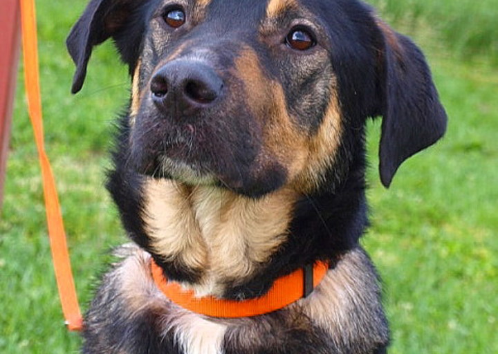 happy_1443732458Mikesch1 (2).JPG