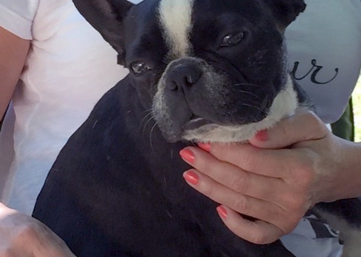 happy_1438606382emma m13.jpeg