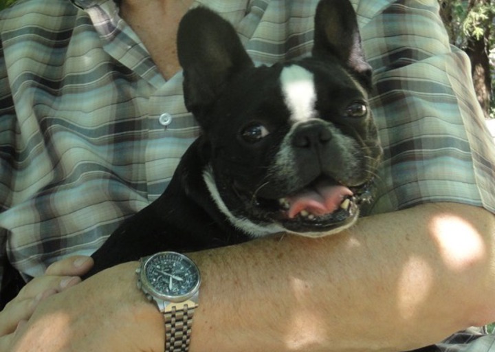 happy_1438606382emma m12.jpeg