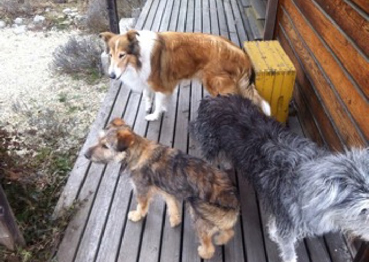 happy_1434657986Anhang 5.jpeg