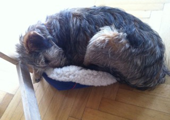 happy_1434657986Anhang 1.jpeg