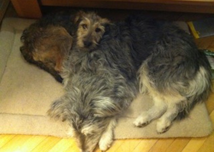 happy_1434657986Anhang 7.jpeg