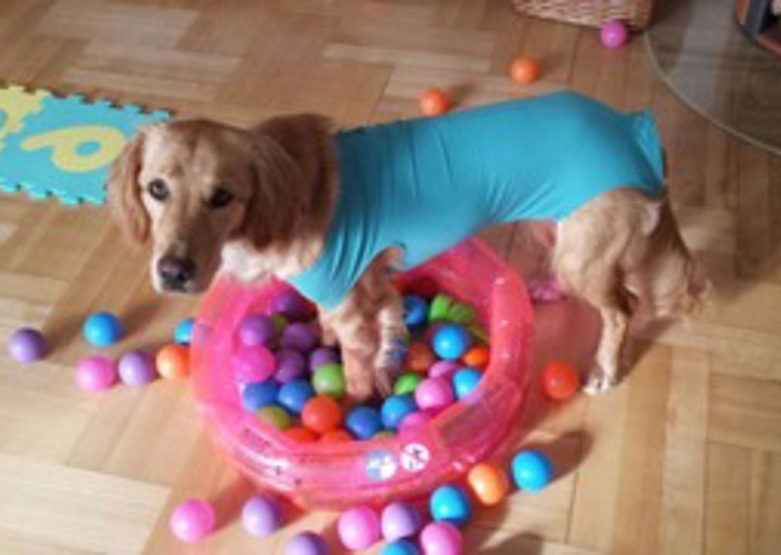 happy_1431459162IMG-20150510-WA0004.jpeg (1)