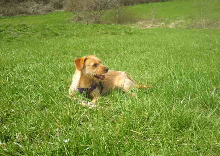 happy_14307699132015-04-14 14.06.33.jpg