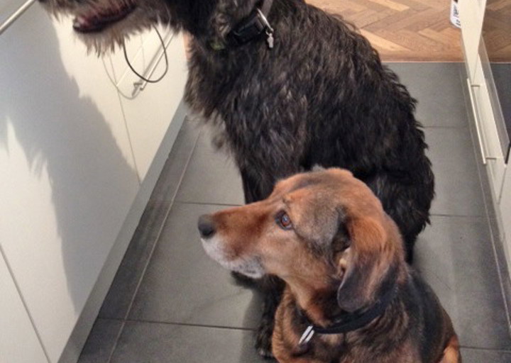 happy_1430167539Barni (1).jpg