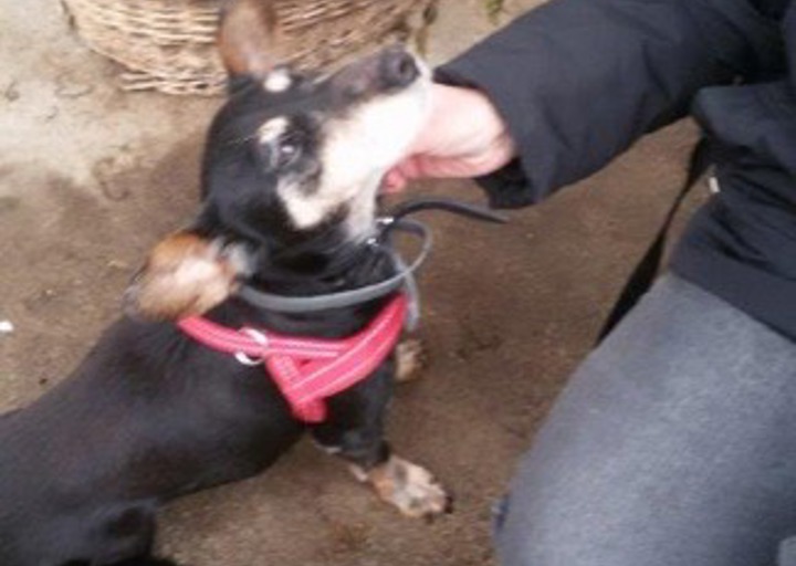 happy_1427486452Handy 046.jpeg