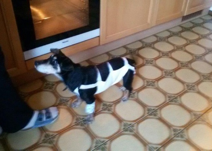 happy_1427486452Handy 072.jpeg