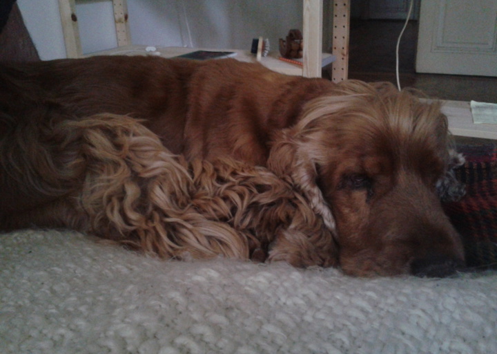 happy_14253286852015-02-18 14.00.29.jpg