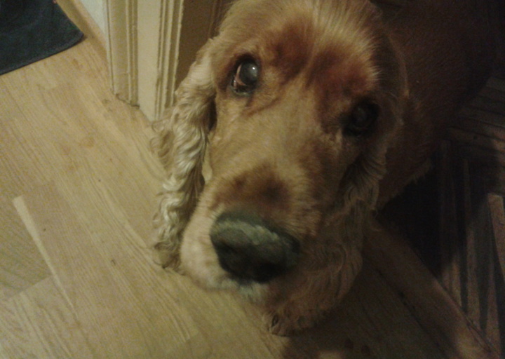 happy_14253286852015-01-17 16.36.27.jpg