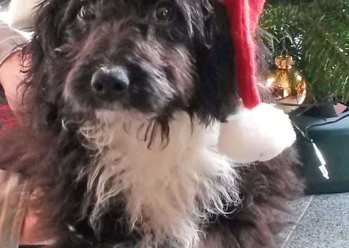 happy_1419519251Moritz 1.jpg