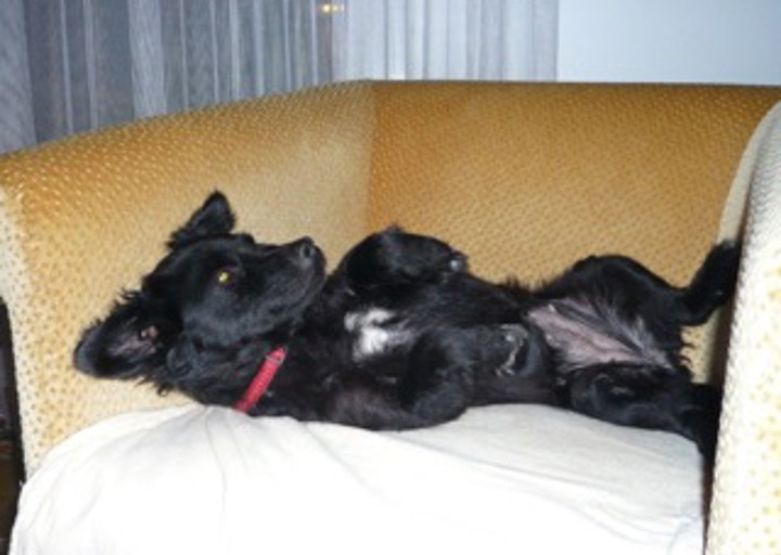 happy_1419633610003 (3).jpeg