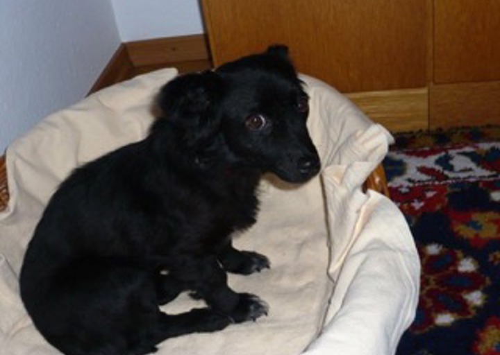 happy_1418326322003 (2).jpeg