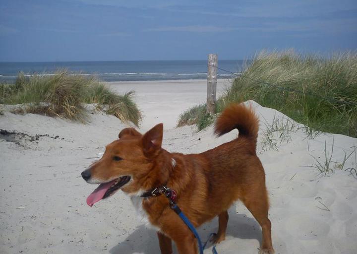 happy_1418070631K800_12 Lieblingsbild 2.JPG