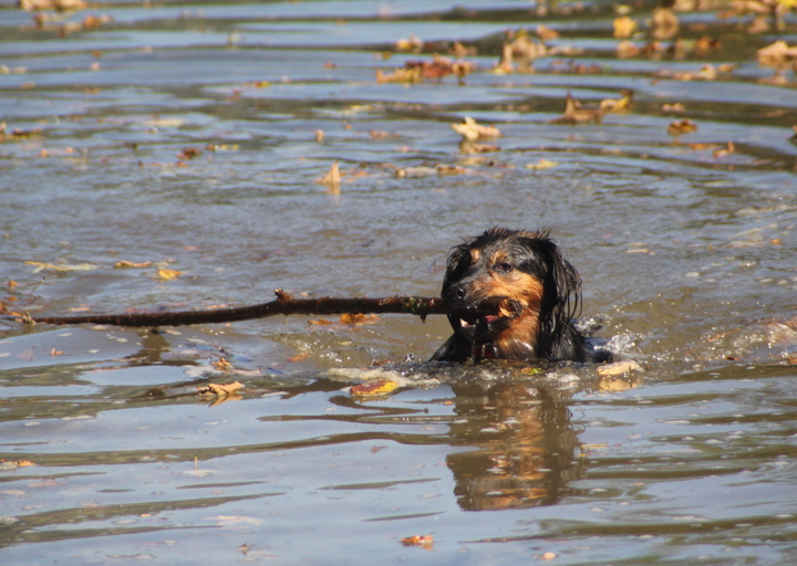 happy_1417552358September 2014 216.jpg