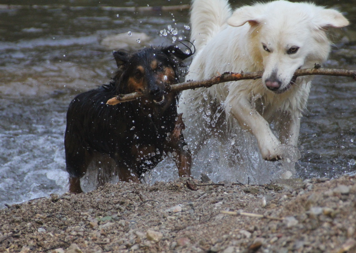 happy_1417552358September 2014 177.jpg