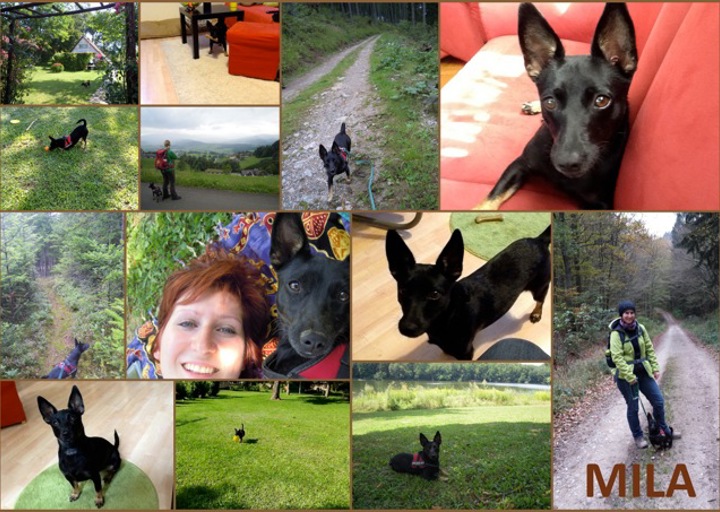 happy_1417547613Zeit mit Mila.jpeg