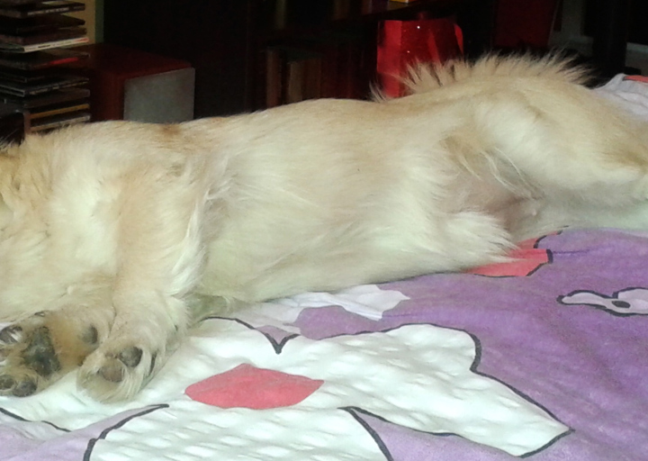 happy_1417549549Bine Bett.jpg