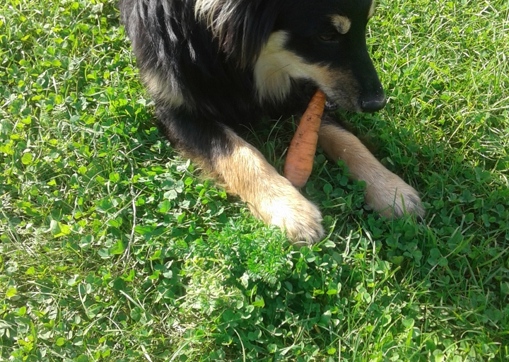 happy_1416686863Samsung Tel 189.jpg