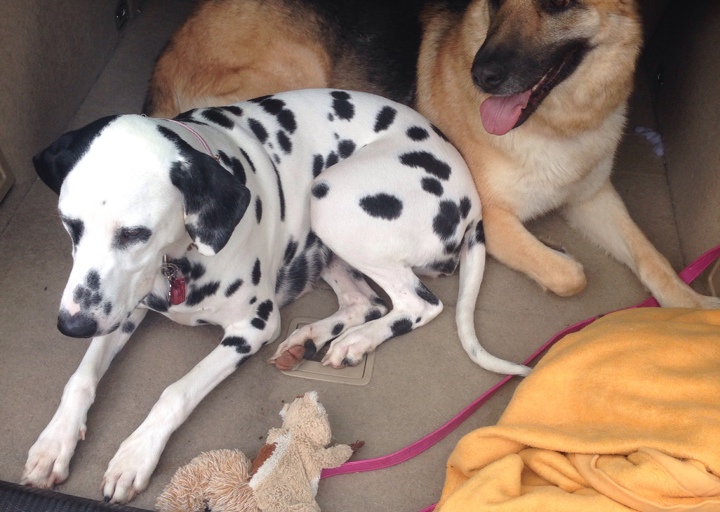 happy_1410708476Anhang 4.jpg