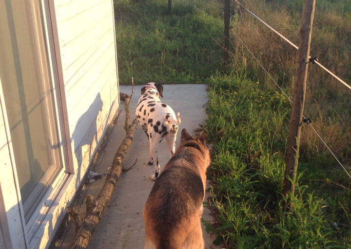 happy_1410708476Anhang 3.jpg