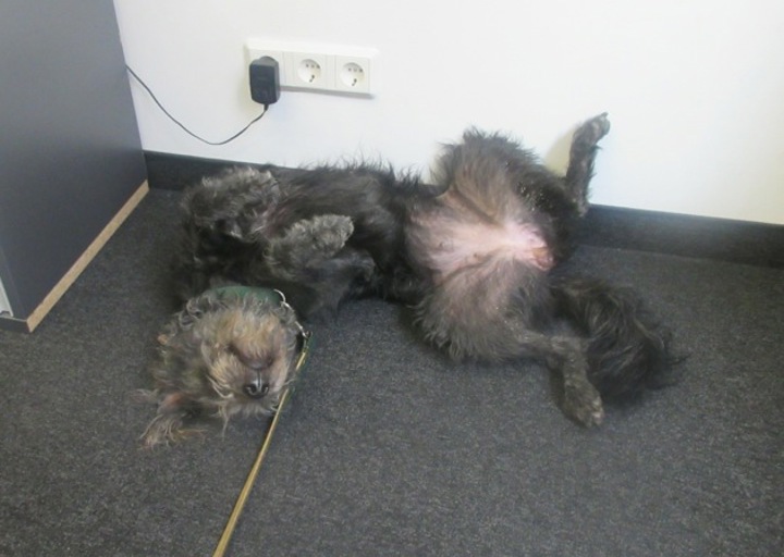 happy_1409758865Mail Attachment.jpeg