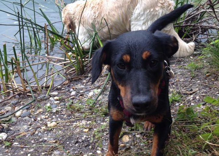 happy_1409685058Foto 24.08.14 13 24 39.jpg