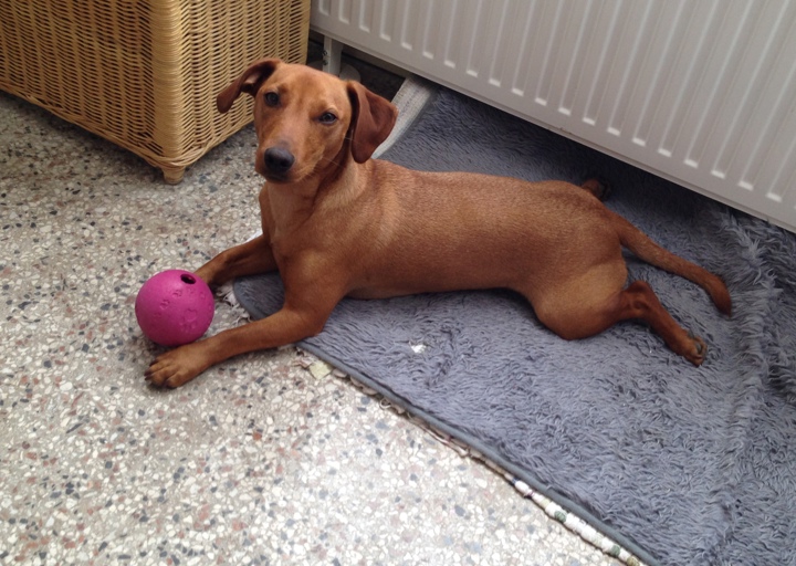 happy_1408918057Foto 1.JPG