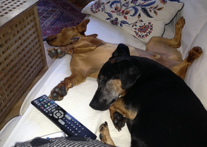 happy_1408918380Foto 4.JPG