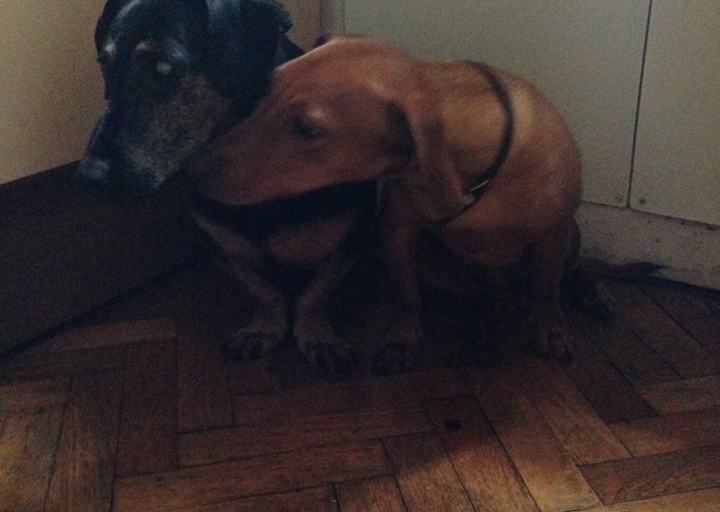 happy_1408918057Foto 3.JPG