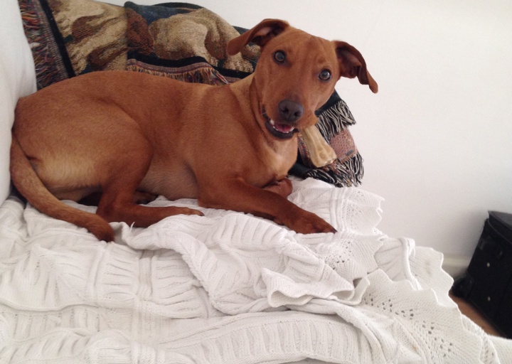 happy_1408918380Foto 2.JPG