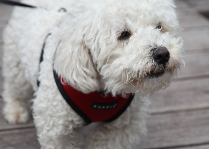 happy_1407366565yka festl juni 2014 003.JPG