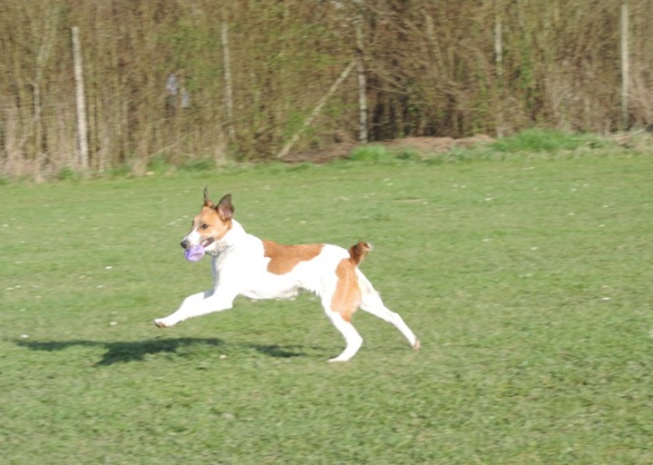 happy_14045986562014 330.jpeg