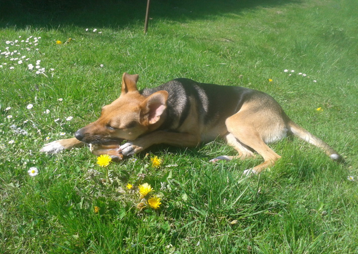 happy_14043056742014-04-30 14.20.32.jpg